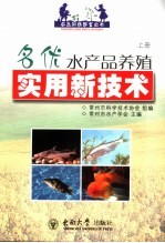 名优水产品养殖实用新技术 上 鳜鱼 长吻鱼 异育银鲫 瓦氏黄颡鱼 翅嘴红鲌 加州鲈鱼