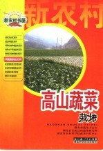 高山蔬菜栽培