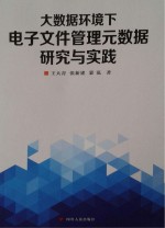 大数据环境下电子文件管理元数据研究与实践