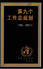 第九个工作总规划 1996-2001