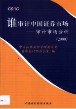 谁审计中国证券市场 审计市场分析 2000