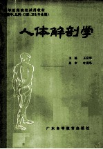 高等医药院校试用教材（供医学、儿科、口腔、卫生专业用） 人体解剖学