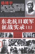 东北抗日联军征战实录 上