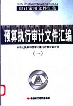 预算执行审计文件汇编 （1）