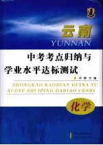 云南中考考点归纳与学业水平达标测试 化学