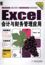 Excel 会计与财务管理应用