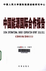 中国能源国际合作报告 2010-2011