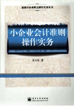 小企业会计准则操作实务