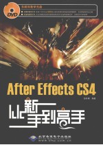 After Effects CS4从新手到高手