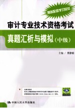 审计专业技术资格考试真题汇析与模拟 中级