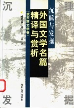 沉睡与发掘 外国文学名篇精译及赏析 俄罗斯文学卷