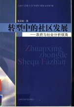 转型中的社区发展 政府与社会分析视角