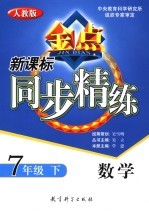 新课标同步精练 人教版 数学 七年级 下