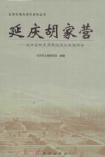 北京文物与考古系列丛书 延庆胡家营 延怀盆地东周聚落遗址发掘报告