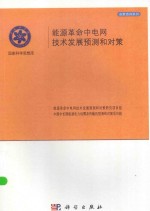 国家科学思想库·决策咨询系列 能源革命中电网技术发展预测和对策