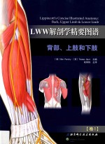 LWW解剖学精要图谱 背部、上肢和下肢 卷1