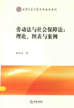 劳动法与社会保障法 理论、图表与案例