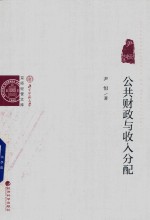 公共财政与收入分配