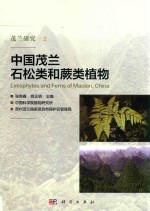 中国茂兰石松类和蕨类植物