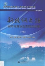 新丝绸之路城市河湖水生态综合治理 下