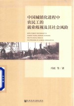 中国城镇化进程中农民工的就业歧视及其社会风险