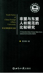 非盟与东盟人权规范的比较研究