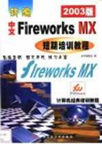 新编中文Fireworks MX短期培训教程 2003版