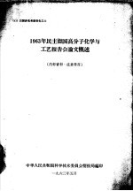 1963年民主德国高分子化学与工艺报告会论文概述