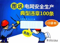 图说电网安全生产典型违章100条 口袋书