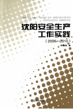 沈阳安全生产工作实践  2006-2010