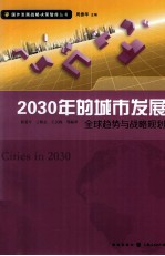 2030年的城市发展  全球趋势与战略规划