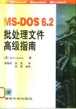 MS-DOS 6.2批处理文件高级指南