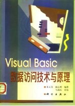 Visual Basic数据访问技术与原理