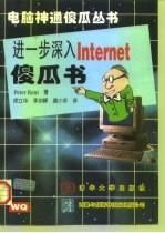 进一步深入Internet傻瓜书