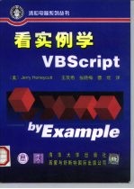 看实例学VBScript