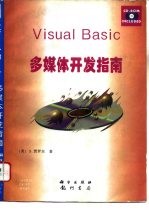 Visual Basic多媒体开发指南