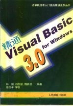 精通Visual basic 3.0 for windows