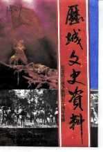 历城文史资料 第7辑 纪念抗日战争胜利五十周年专辑