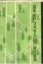 征农文艺创作集