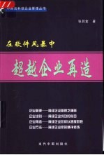 在软件风暴中 超越企业再造