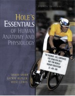 Hole's essentials of human anatomy and physiology  eighth edition