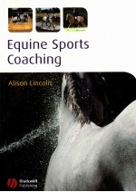 Equine Sports Coaching