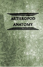 A TEXTBOOK OF ARTHROPOD ANATOMY