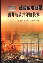 碳酸盐岩储层测井与录井评价技术