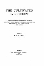 THE CULTIVATED EVERGREENS