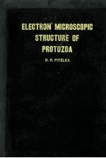 ELECTRON-MICROSCOPIC STRUCTURE OF PROTOZOA