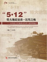 “5·12”特大地震访谈·汶川之殇 汶川县153位地震亲历者口述资料辑录