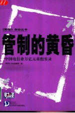 管制的黄昏 中国电信业万亿元重组实录