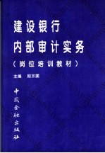 建设银行内部审计实务