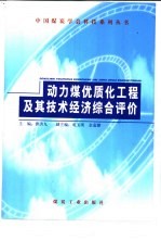 动力煤优质化工程及其技术经济综合评价